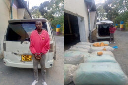Collage photo of Dennis Mukungua and sacks of bhang valued at Ksh11.6 million.